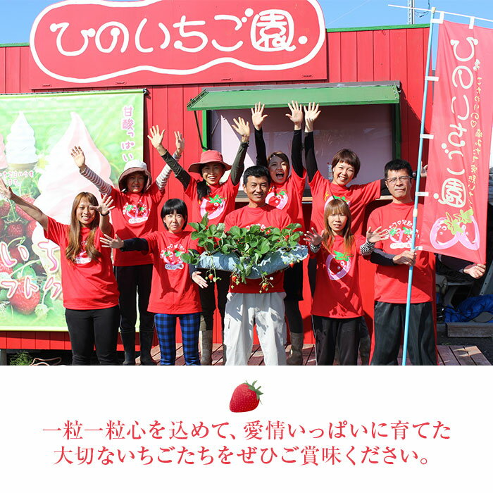 【ふるさと納税】＜摘みたて完熟いちご「愛〜めぐみ〜」（4トレー入り）＞ ※2025年11月末から12月末迄に順次出荷 約1kg 苺 イチゴ 果物 くだもの フルーツ 株式会社ひのいちご園 愛媛県 西条市 【冷蔵】【JP】 サムネイル3