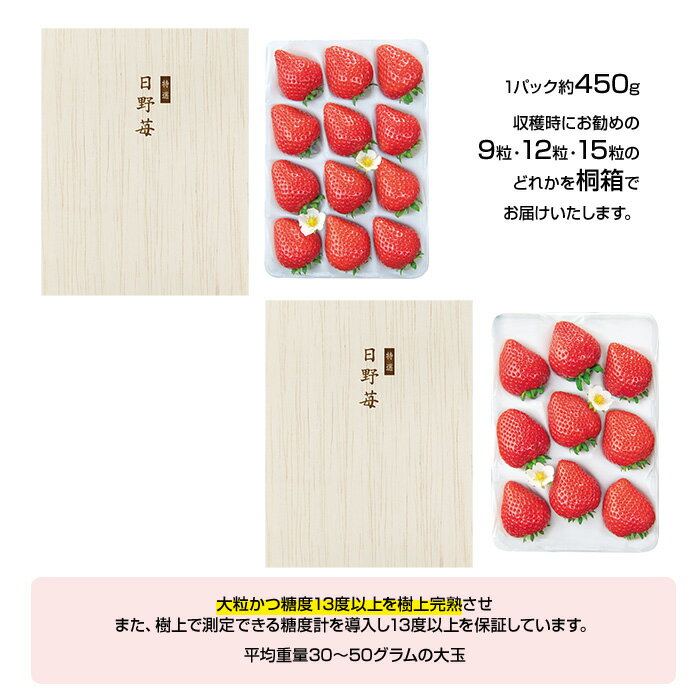 【ふるさと納税】＜特選 日野苺「煌」（約450g）＞ ※2025年11月末から12月末迄に順次出荷 イチゴ いちご 大粒 大玉 1粒30g以上 糖度13度以上 樹上完熟 果物 摘みたて 甘い くだもの フルーツ 桐箱 株式会社ひのいちご園 愛媛県 西条市 【冷蔵】【JP】 サムネイル2