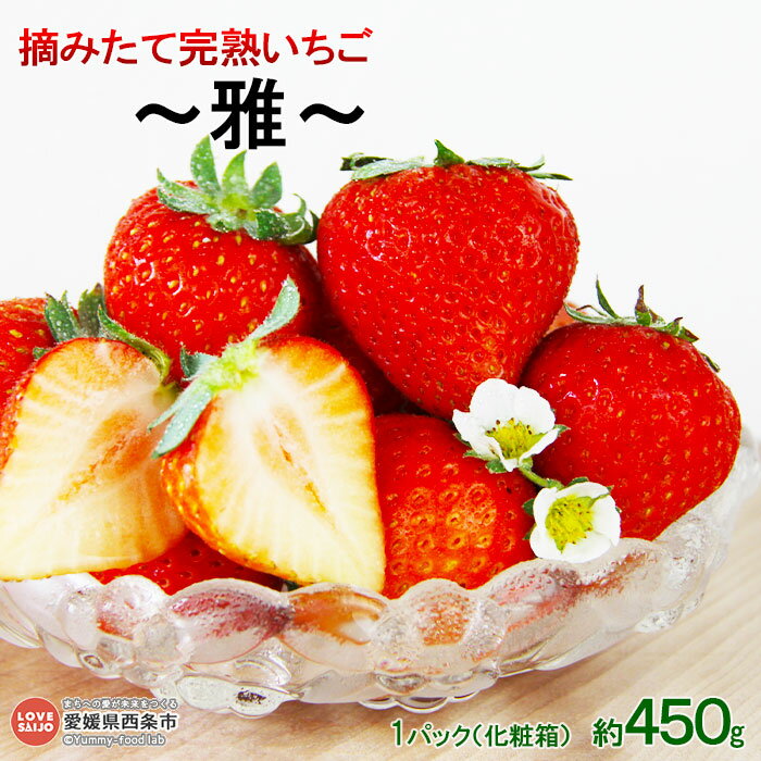 ＜摘みたて完熟いちご 〜雅〜(化粧箱) 約450g＞ ※2025年11月末から12月末迄に順次出荷 イチゴ 苺 果物 くだもの フルーツ 数量限定 期間限定 株式会社ひのいちご園 愛媛県 西条市 【冷蔵】【JP】