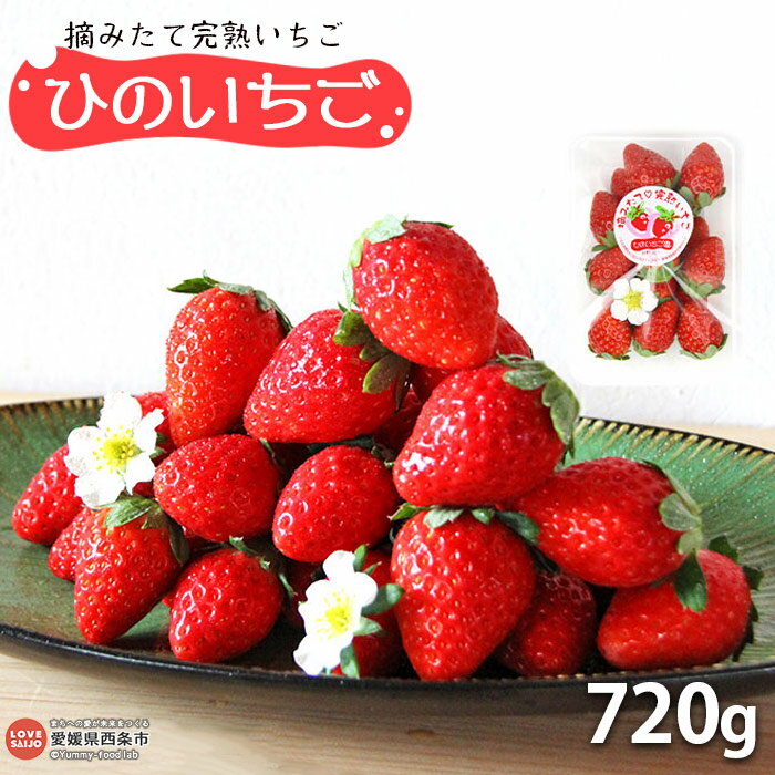 ＜摘みたて完熟いちご「ひのいちご」720g（180g×4パック）＞ ※2025年11月末から12月末迄に順次出荷 苺 イチゴ 果物 くだもの フルーツ ストロベリー 新鮮 旬 期間限定 産地直送 ひのいちご園 愛媛県 西条市 【冷蔵】【JP】