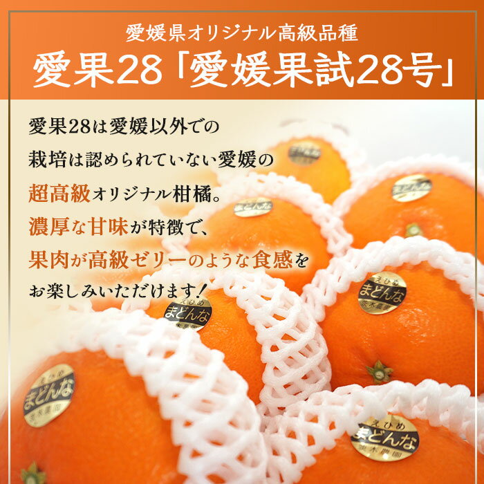 【ふるさと納税】＜愛媛県オリジナル品種 極上愛果28号（8～10個）＞※2025年12月中旬～12月下旬に順次出荷します。果物 フルーツ くだもの 柑橘 愛媛果試第28号 高級品種 みかん ミカン 蜜柑 紅まどんな マドンナ あいか 甘い ギフト 贈答用 茨木農園 愛媛県 西条市【常温】 サムネイル2