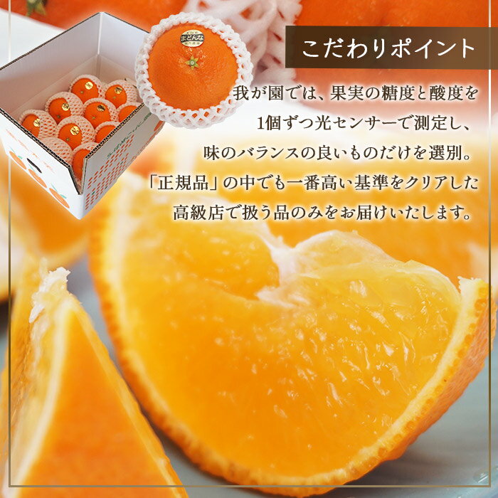 【ふるさと納税】＜愛媛県オリジナル品種 極上愛果28号（8～10個）＞※2025年12月中旬～12月下旬に順次出荷します。果物 フルーツ くだもの 柑橘 愛媛果試第28号 高級品種 みかん ミカン 蜜柑 紅まどんな マドンナ あいか 甘い ギフト 贈答用 茨木農園 愛媛県 西条市【常温】 サムネイル3