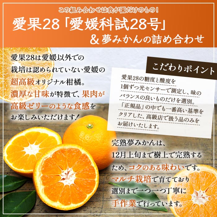 【ふるさと納税】＜極上希少な愛媛の柑橘詰め合わせセット 「極上愛果28号＆完熟夢みかん」＞※2025年12月中旬～12月下旬迄に順次出荷します。 愛媛オリジナル高級品種 愛媛果試第28号 ミカン 蜜柑 果物 フルーツ 柑橘 食べ比べ 茨木農園 愛媛県 西条市 【常温】 サムネイル2