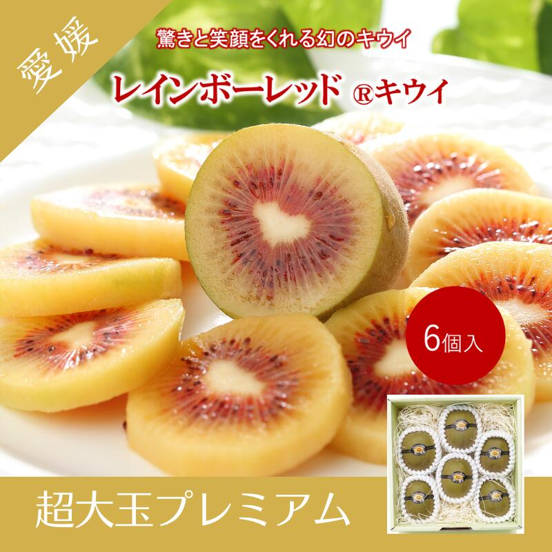 予約受付 キウイ ＜プレミアムレインボー 6個入＞ 輝らり果樹園 ※2025年11月下旬～12月中旬迄に順次出荷します。（1玉120g以上） フルーツ 果物 【常温】