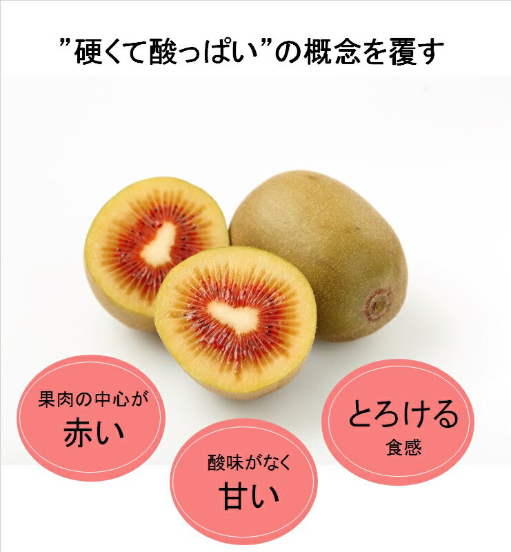 【ふるさと納税】予約受付 キウイ ＜スマイルレインボー 8個入＞※2025年11月下旬～12月中旬迄に順次出荷します。 （1玉90〜119g）レインボーレッドキウイ 希少キウイ 酸味が少ない 味が濃い スーパーフルーツ 豊富な栄養素 食物繊維 大玉 果物 輝らり果樹園 【常温】 サムネイル2