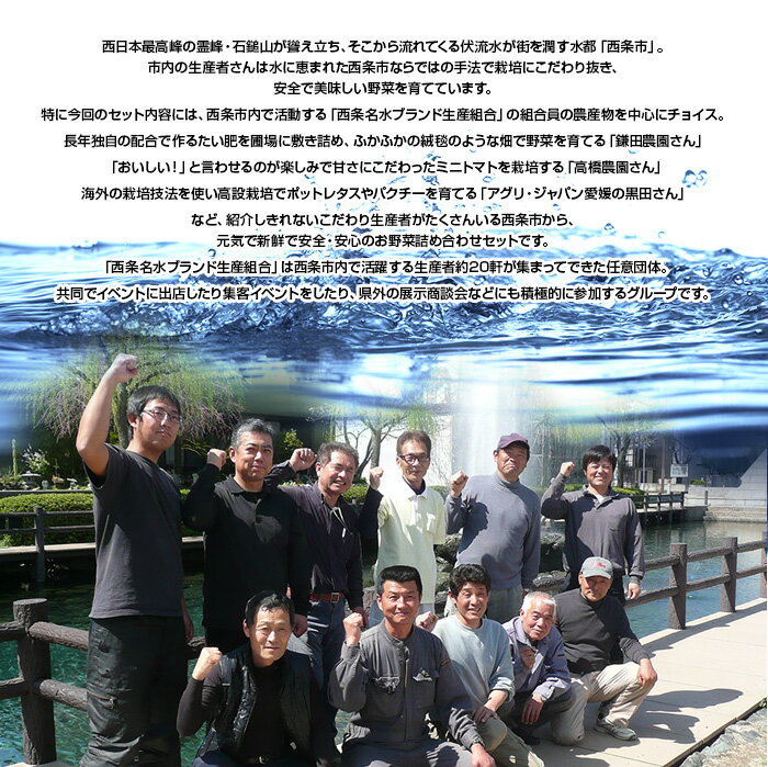 【ふるさと納税】＜西条名水育ちの新鮮野菜セット＞※翌月末迄に順次出荷します。（旬のお野菜セット） やさい 詰め合わせ 産地直送 おまかせ お楽しみ 愛媛県 西条市【冷蔵】 - 画像2