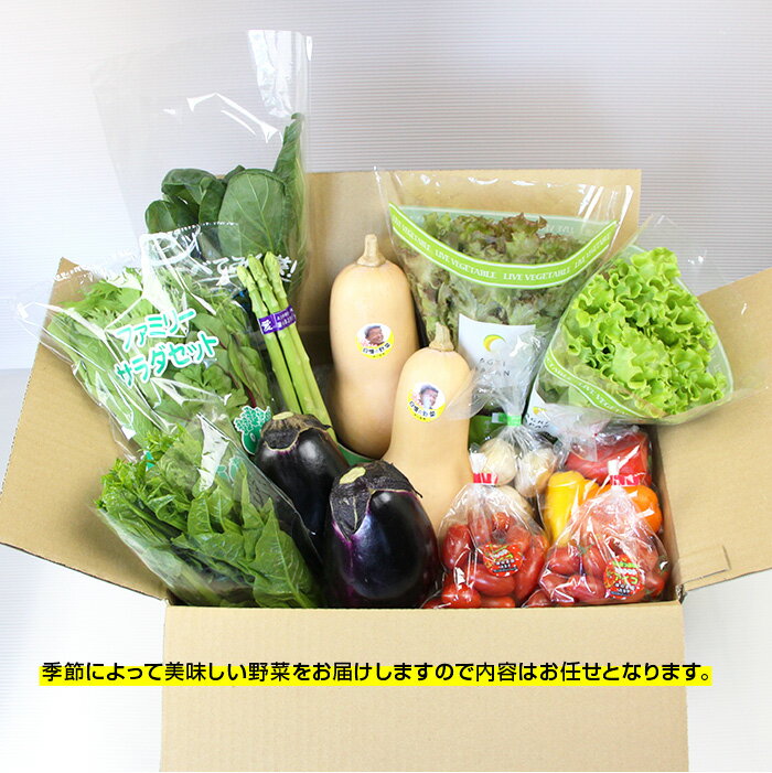 【ふるさと納税】＜西条名水育ちの新鮮野菜セット＞※翌月末迄に順次出荷します。（旬のお野菜セット） やさい 詰め合わせ 産地直送 おまかせ お楽しみ 愛媛県 西条市【冷蔵】 - 画像3