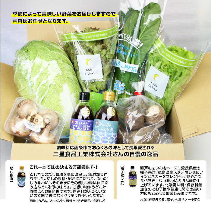 【ふるさと納税】＜西条名水育ちのお鍋満喫セット＞※翌月末迄に順次出荷します。(旬のお野菜と調味料のセット) やさい なべ 醤油 しょうゆ ポン酢 詰め合わせ お楽しみ 産地直送 愛媛県 西条市【冷蔵】 - 画像3
