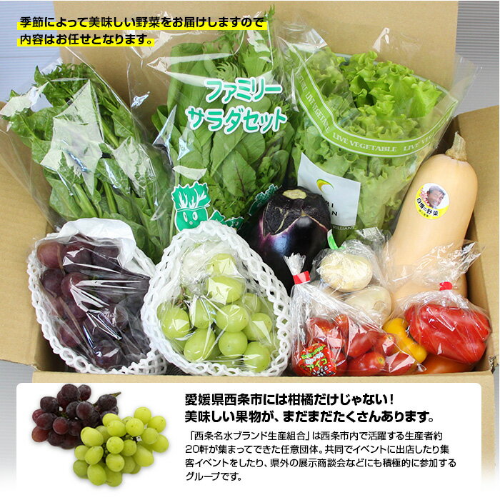 【ふるさと納税】＜西条名水育ちの新鮮野菜と果物セット＞※翌月末迄に順次出荷します。 やさい フルーツ くだもの 詰め合わせ おまかせ お楽しみ 産地直送 特産品 愛媛県 西条市【冷蔵】 - 画像3