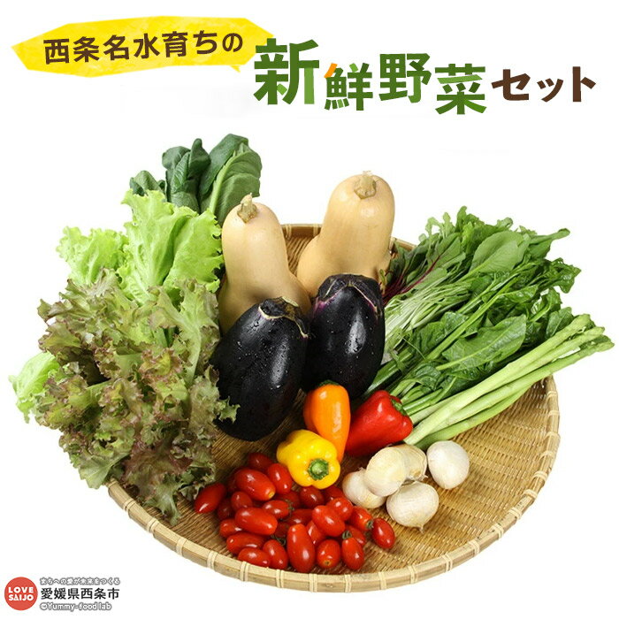 ＜西条名水育ちの新鮮野菜セット＞※翌月末迄に順次出荷します。（旬のお野菜セット） やさい 詰め合わせ 産地直送 おまかせ お楽しみ 愛媛県 西条市【冷蔵】