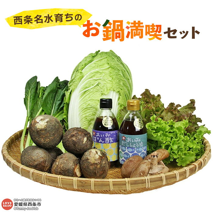 ＜西条名水育ちのお鍋満喫セット＞※翌月末迄に順次出荷します。(旬のお野菜と調味料のセット) やさい なべ 醤油 しょうゆ ポン酢 詰め合わせ お楽しみ 産地直送 愛媛県 西条市【冷蔵】