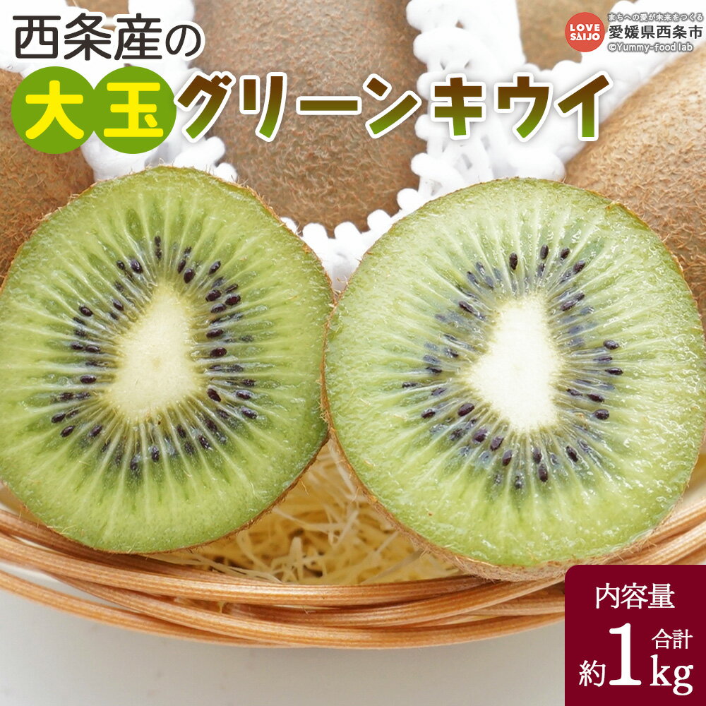＜西条産の大玉グリーンキウイ 約1kg＞※翌月末までに順次出荷します。キューイ キウィ ヘイワード フルーツ 栄養価が高い ビタミンたっぷり 好評 美容 健康 腸内環境の改善 食物繊維 便秘解消 くだもの 果物 国産 愛媛県 西条市【常温】