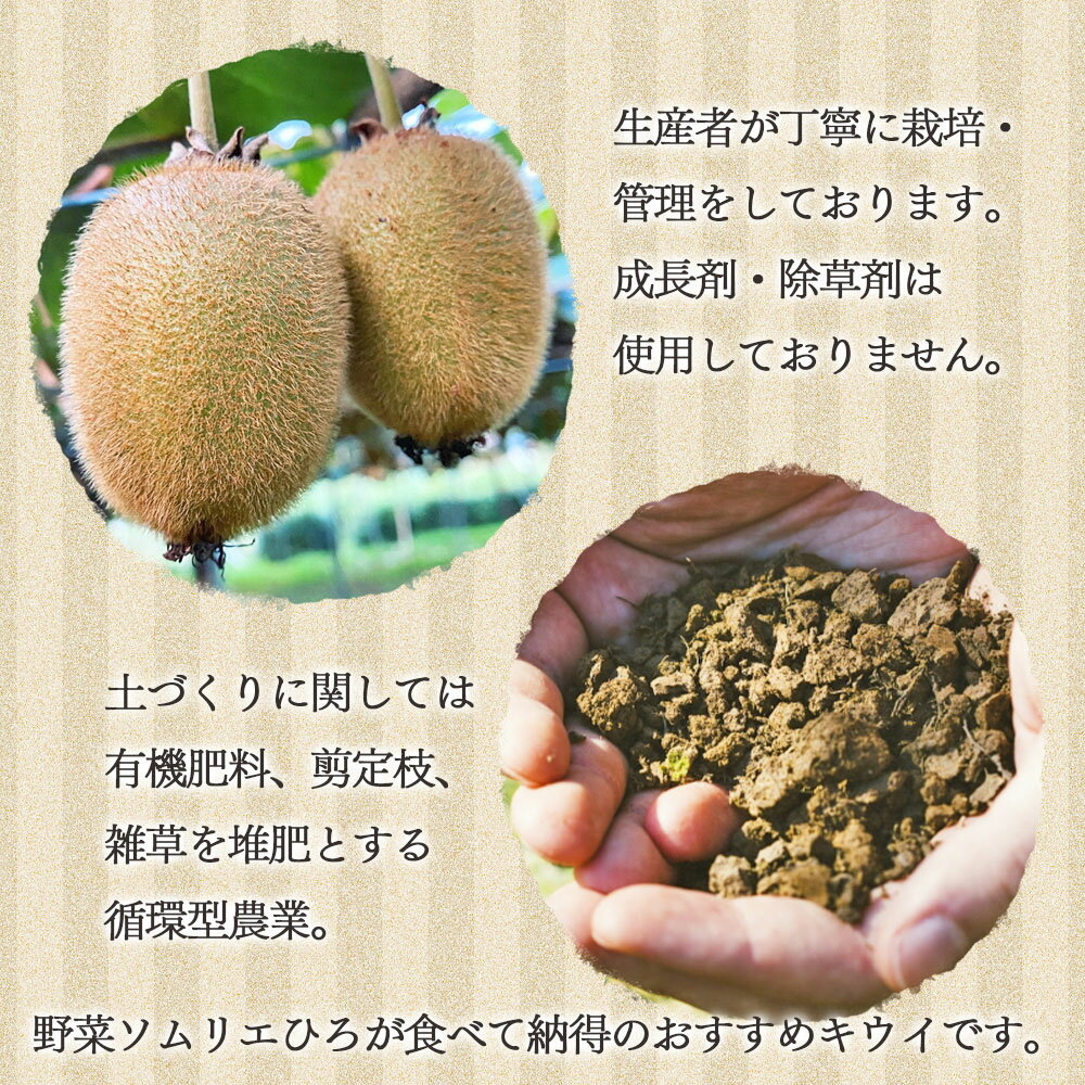 【ふるさと納税】＜西条産の大きめグリーンキウイ 約3kg（中玉～大玉）＞※翌月末より順次出荷します。キューイ キウィ ヘイワード フルーツ ビタミンたっぷり 美容 健康 腸内環境の改善 食物繊維 便秘解消 くだもの 果物 愛媛県 西条市 【常温】 サムネイル3
