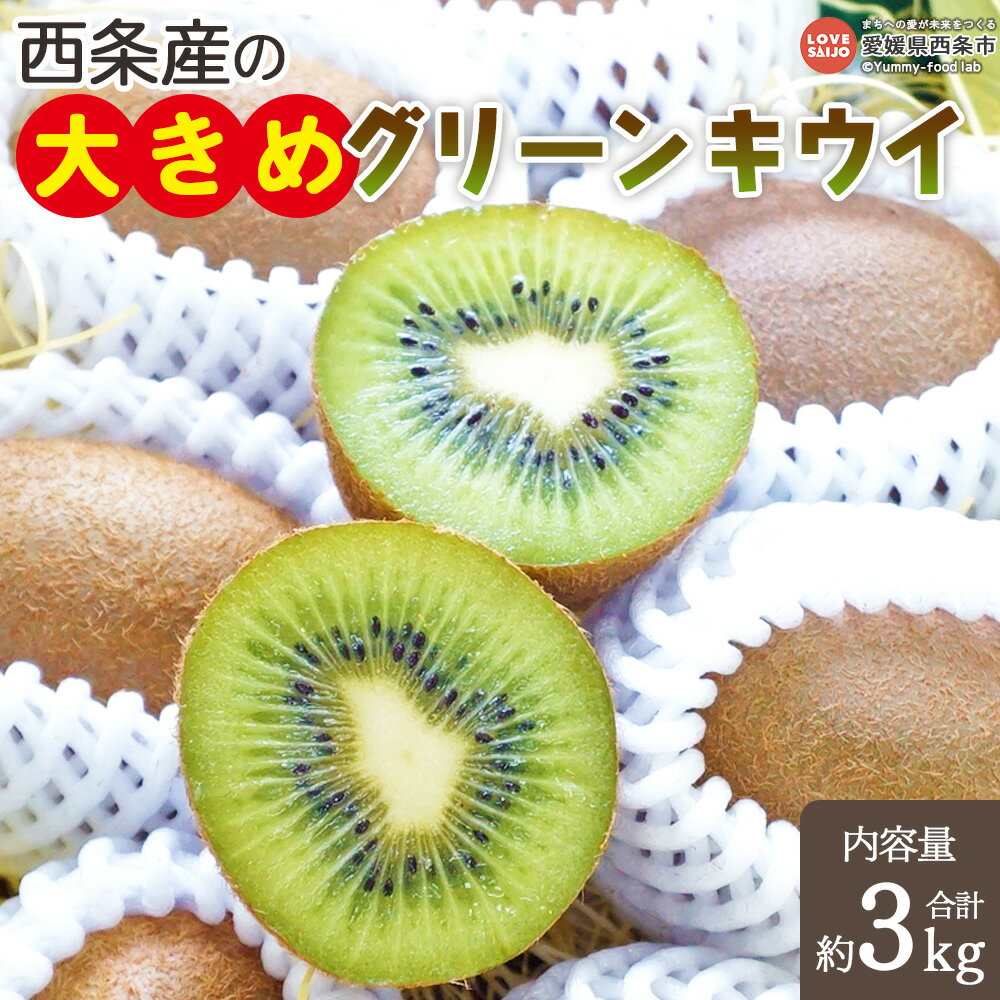 ＜西条産の大きめグリーンキウイ 約3kg（中玉～大玉）＞※翌月末より順次出荷します。キューイ キウィ ヘイワード フルーツ ビタミンたっぷり 美容 健康 腸内環境の改善 食物繊維 便秘解消 くだもの 果物 愛媛県 西条市 【常温】