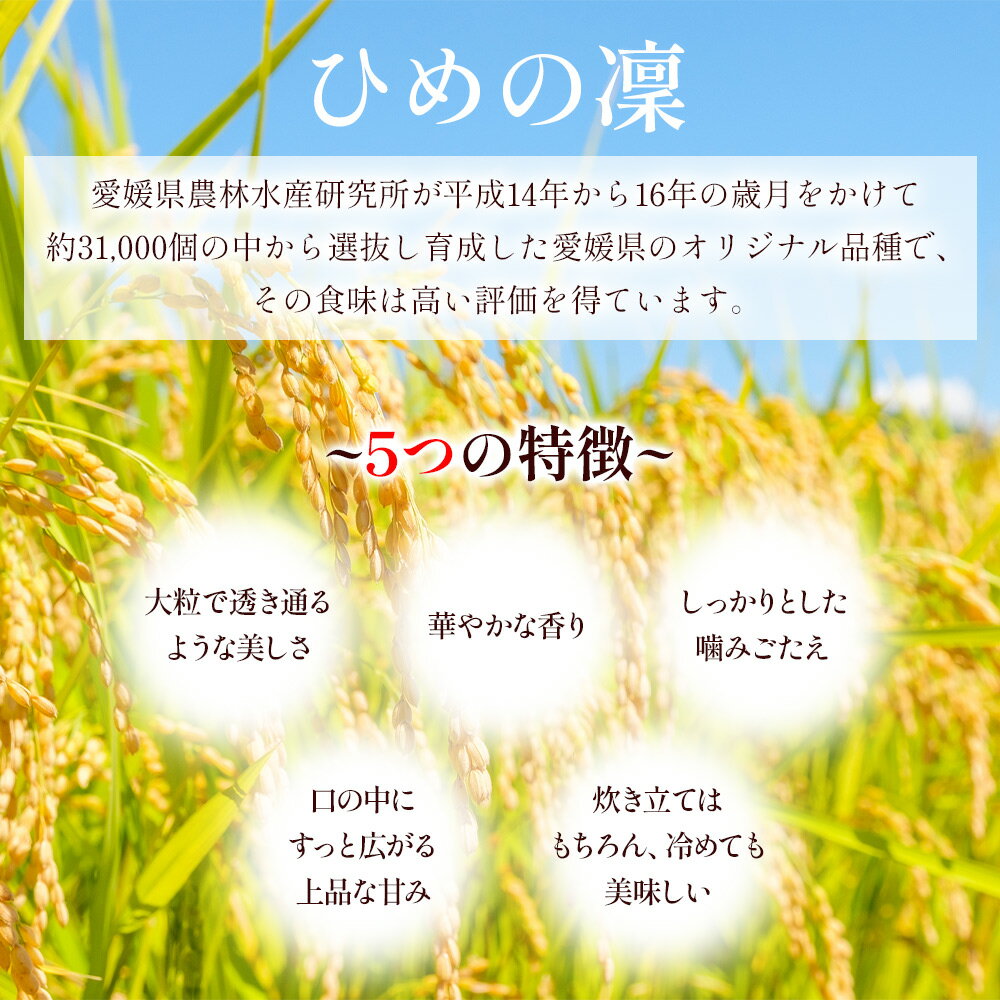 【ふるさと納税】新米＜令和7年産/令和8年産 愛媛県推奨米（ひめの凜）正味5kg/10kg/27kg/30kg＞ ※R7年産：翌月末迄に順次出荷／R8年産：2026年11月以降発送 予約 ひめの凛 ひめのりん 選べる 内容量 玄米 白米 精米 お米 こめ コメ ご飯 ごはん ライス 備蓄 国産 西条市 - 画像2