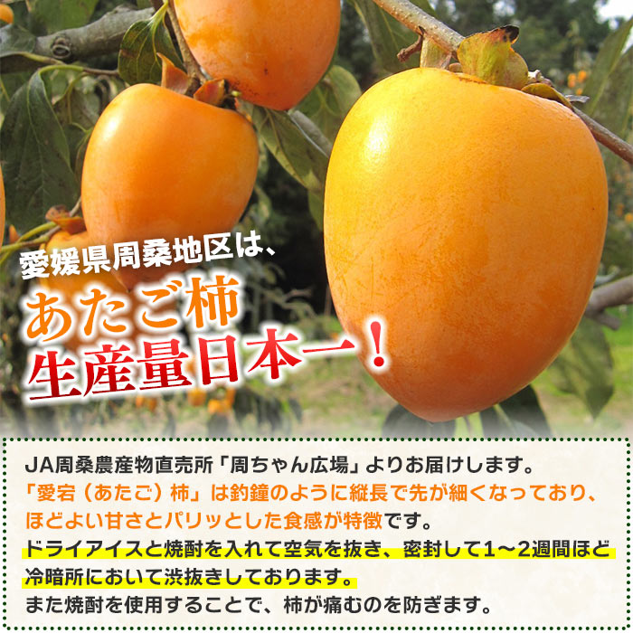 【ふるさと納税】＜愛媛県西条産 あたご柿（渋抜き）約3.5kg（特撰4Lサイズ×10玉入り）＞※2025年12月下旬迄に順次出荷します。 フルーツ 果物 愛宕柿 かき カキ ドライアイス 焼酎 JA周桑 農業協同組合 愛媛県 西条市【常温】 サムネイル2
