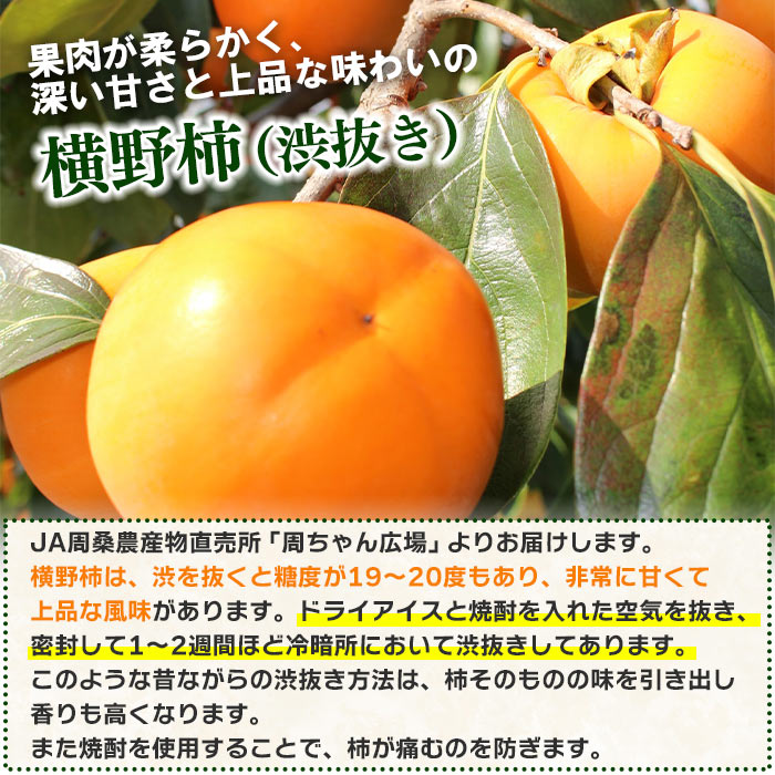 【ふるさと納税】予約受付＜愛媛県西条産 横野柿（渋抜き）約3.5kg（特撰4Lサイズ×9玉入り）＞※2025年12月下旬迄に順次出荷します。 フルーツ 果物 かき カキ ドライアイス 焼酎 JA周桑 農業協同組合 愛媛県 西条市【常温】 サムネイル2
