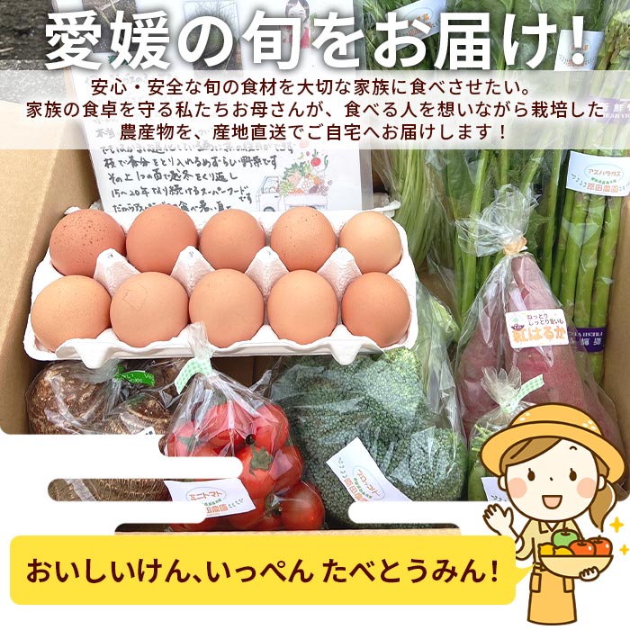 【ふるさと納税】＜たべとうみんの旬菜ボックス（おまかせ野菜6～8種 美豊卵10個 お楽しみ商品 お米3kg付き）＞ ※翌月末迄の火曜日に順次出荷します。野菜 やさい タマゴ たまご 旬 コメ お任せ 詰め合わせ 産地直送 食材 農産物 セット 愛媛県 西条市【冷蔵】 - 画像2
