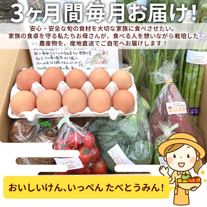 【ふるさと納税】＜たべとうみんの旬菜ボックス 定期便 3ヶ月お届け（おまかせ野菜6～8種 美豊卵10個 お楽しみ商品）＞ ※翌月下旬迄の火曜日に第1回目を出荷します。野菜 やさい タマゴ たまご 旬 お任せ 詰め合わせ セット 産地直送 食材 農産物 愛媛県 西条市【冷蔵】 - 画像2