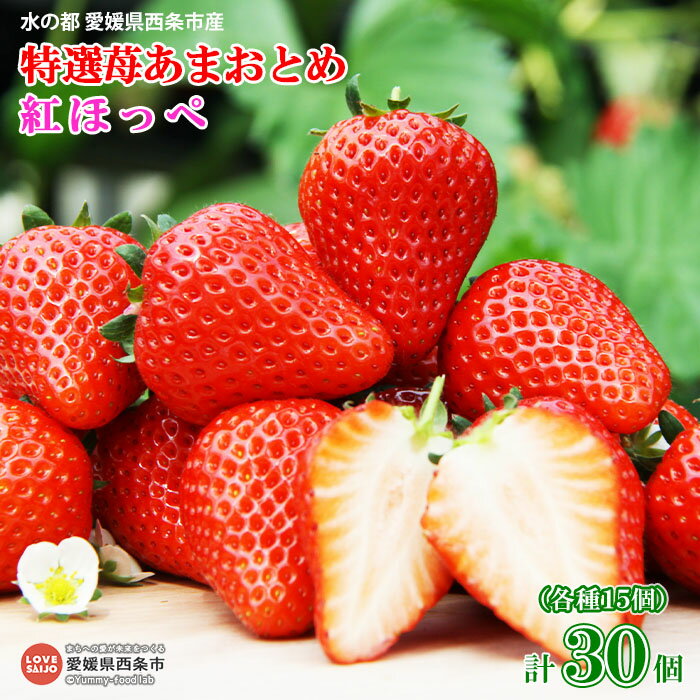 ＜水の都 愛媛県西条市産 特選苺あまおとめ 紅ほっぺ 各15個 計30個＞ ※2026年3月中旬迄に順次出荷します。 いちご イチゴ 果物 くだもの フルーツ ゆきもと農園 愛媛県 西条市 【冷蔵】