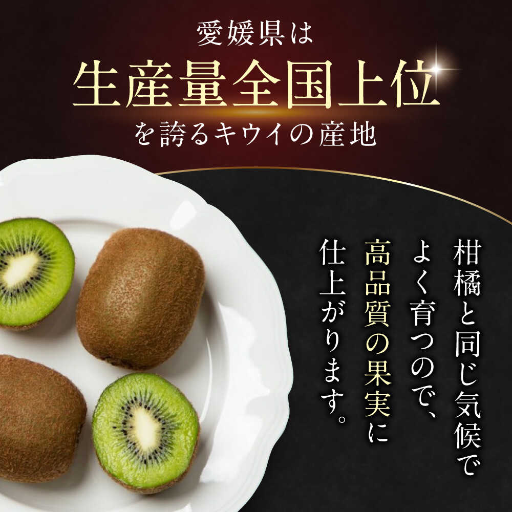 【ふるさと納税】キウイ【先行予約】【2026年2月中旬から順次発送】 キウイ フルーツ 大玉 16 玉 （ 赤秀 4L サイズ ） 大洲市/愛媛たいき農業協同組合[AGAO002] キウイ 果物 くだもの フルーツ 愛媛県産 大洲市産 産地直送 おすすめ 人気 お取り寄せ 送料無料 贈答 ギフト サムネイル2