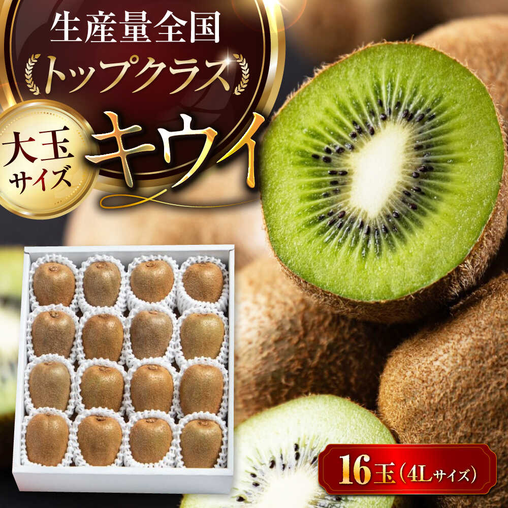 キウイ【先行予約】【2026年2月中旬から順次発送】 キウイ フルーツ 大玉 16 玉 （ 赤秀 4L サイズ ） 大洲市/愛媛たいき農業協同組合[AGAO002] キウイ 果物 くだもの フルーツ 愛媛県産 大洲市産 産地直送 おすすめ 人気 お取り寄せ 送料無料 贈答 ギフト