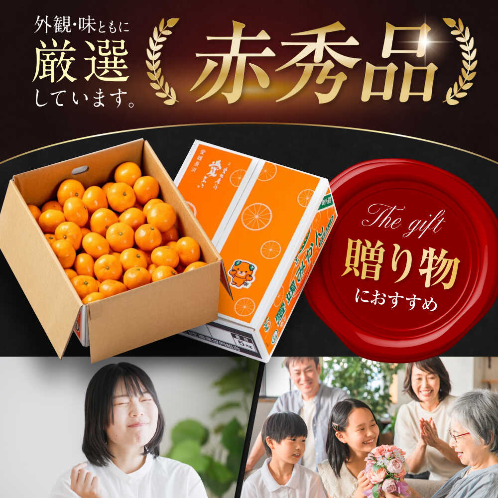 【ふるさと納税】【先行予約】【11月中旬から順次発送】【数量限定】 早生 みかん 5kg（ 赤秀 ） 大洲市/愛媛たいき農業協同組合[AGAO005] 先行予約 みかん ミカン 蜜柑 果物 くだもの フルーツ 愛媛県産 大洲市産 産地直送 おすすめ 人気 お取り寄せ 送料無料 贈答 ギフト サムネイル2