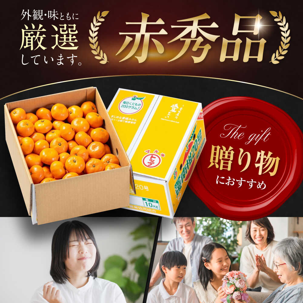 【ふるさと納税】【12月上旬から順次発送】 みかん 南柑 20号 10kg （ 赤秀 100〜160玉 ） 大洲市/愛媛たいき農業協同組合[AGAO007] 先行予約 みかん ミカン 蜜柑 果物 くだもの フルーツ 愛媛県産 大洲市産 産地直送 おすすめ 人気 お取り寄せ 送料無料 贈答 ギフト サムネイル2