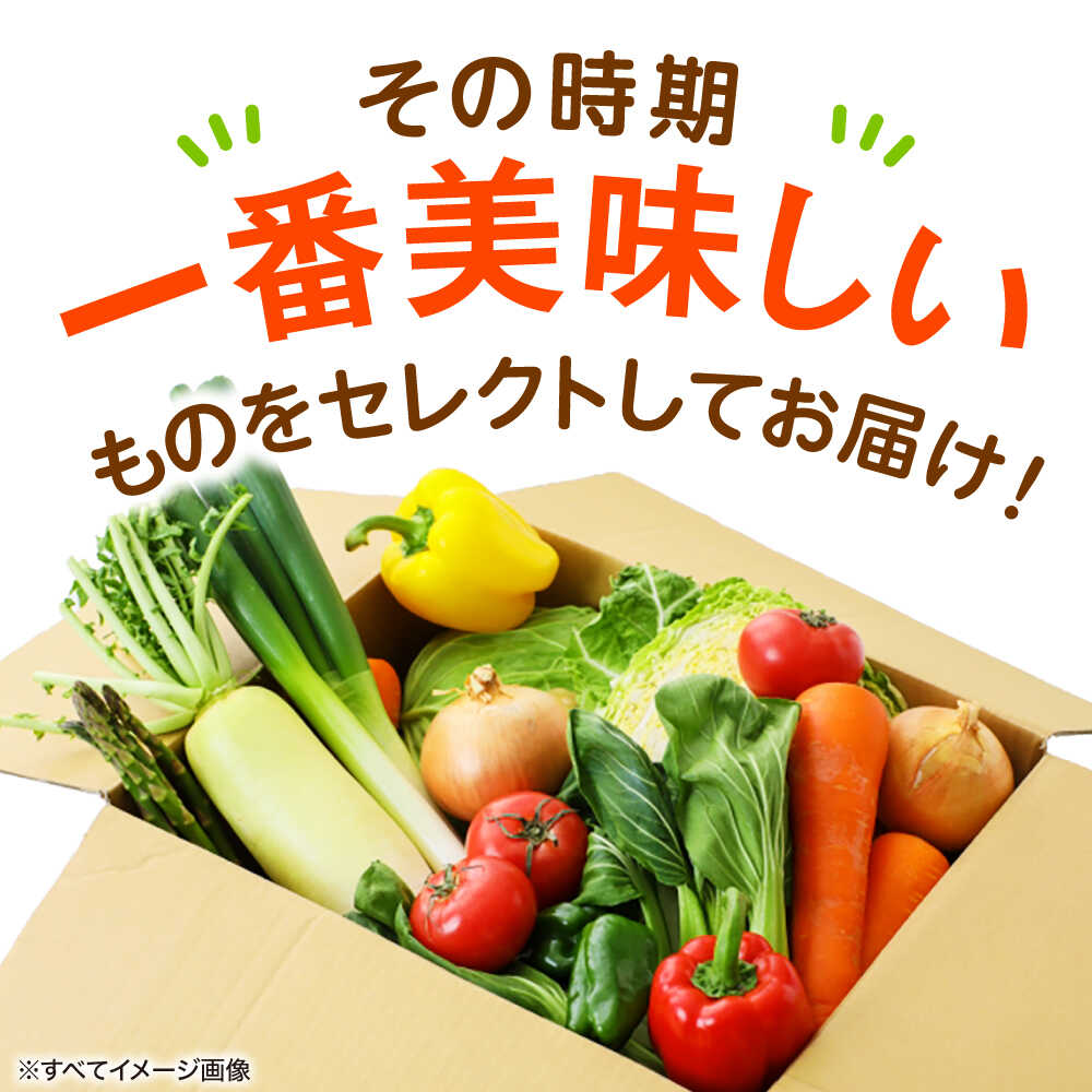 【ふるさと納税】【選べるお届け回数】野菜セット 旬の産直市お任せセット （6種〜8種以上） 野菜定期便 野菜セット やさいセット 新鮮野菜 愛媛県産 産地直送 おすすめ 人気 お取り寄せ 食材セット 詰め合わせ 大洲市/たいき産直市愛たい菜[AGAP001] - 画像2