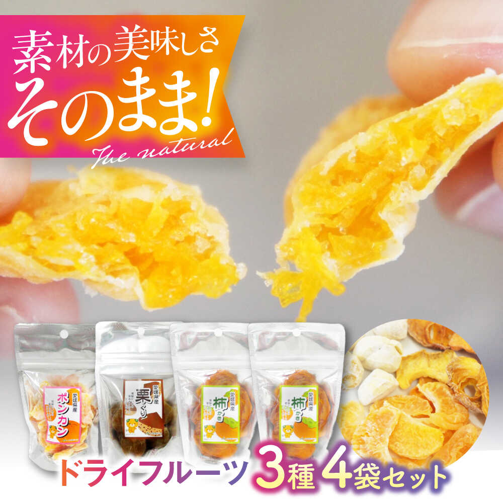ドライフルーツ 3種（ポンカン 栗 柿）4袋セット 詰め合わせ 食べ比べ 愛媛県大洲市/愛媛たいき農業協同組合加工部[AGAQ004] ドライフルーツ フルーツ 果物 くだもの おかし お菓子 おやつ ヘルシー 健康 おすすめ 人気 お取り寄せ 送料無料 大洲市