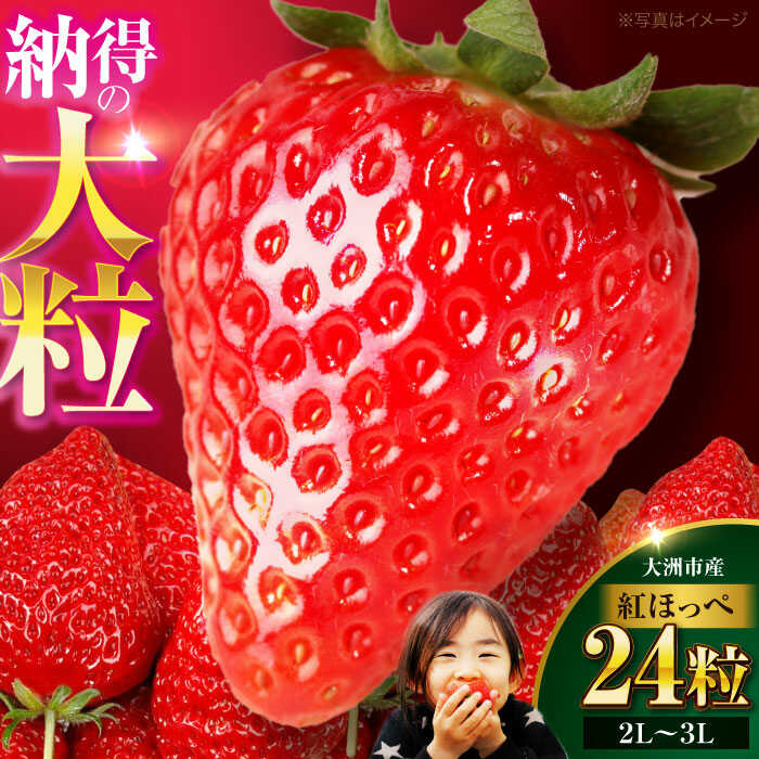 いちご 【先行予約】【2026年1月上旬から順次発送】いちご 紅ほっぺ 24粒 | 人気 おすすめ ランキング おいしい 甘い 苺 果物 フルーツ 苺 イチゴ 大粒 高級 送料無料 デザート スイーツ 愛媛県産 大洲市/有限会社西山青果[AGAR001] 10000 10000円 以上