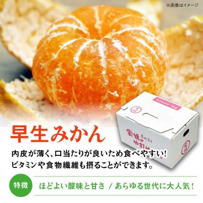 【ふるさと納税】【贈答用】 早生みかん 3kg 大洲市/有限会社西山青果 [AGAR007] 先行予約 みかん ミカン 蜜柑 温州ミカン 温州みかん 果物 くだもの フルーツ 愛媛県産 大洲市産 産地直送 おすすめ 人気 お取り寄せ 送料無料 贈答 ギフト サムネイル2