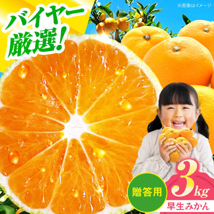 【贈答用】 早生みかん 3kg 大洲市/有限会社西山青果 [AGAR007] 先行予約 みかん ミカン 蜜柑 温州ミカン 温州みかん 果物 くだもの フルーツ 愛媛県産 大洲市産 産地直送 おすすめ 人気 お取り寄せ 送料無料 贈答 ギフト