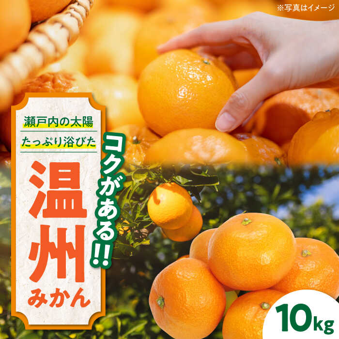 【先行予約】【11月下旬から順次発送】 温州みかん（南柑20号） 10kg（S～Lサイズ混合） 大洲市/永沼農園[AGAW002] 先行予約 みかん 蜜柑 温州みかん 果物 くだもの フルーツ 愛媛県産 大洲市産 産地直送 おすすめ 人気 お取り寄せ 送料無料 贈答 ギフト