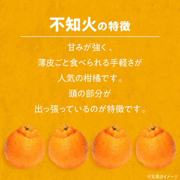 【ふるさと納税】【2026年2月下旬から順次発送】 完熟 不知火 10kg | 人気 おすすめ ランキング おいしい 甘い 果物 フルーツ みかん ミカン 不知火 大洲市/永沼農園[AGAW004] 20000 20000円 サムネイル2
