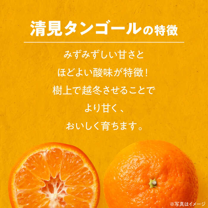 【ふるさと納税】【先行予約】【2026年3月下旬から順次発送】清見タンゴール 10kg | 人気 おすすめ ランキング おいしい 甘い 果物 フルーツ みかん ミカン オレンジ 大洲市/永沼農園[AGAW006] 20000 20000円 以下 サムネイル2