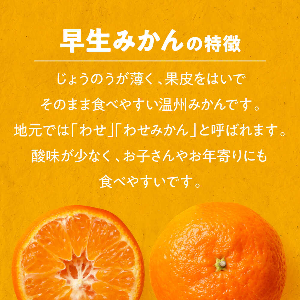 【ふるさと納税】【先行予約】【11月中旬から順次発送】温州みかん（早生） 5kg（S～Lサイズ混合） 大洲市/永沼農園[AGAW016] 先行予約 みかん ミカン 蜜柑 温州ミカン 温州みかん 果物 くだもの フルーツ 愛媛県産 大洲市産 産地直送 おすすめ 人気 サムネイル2
