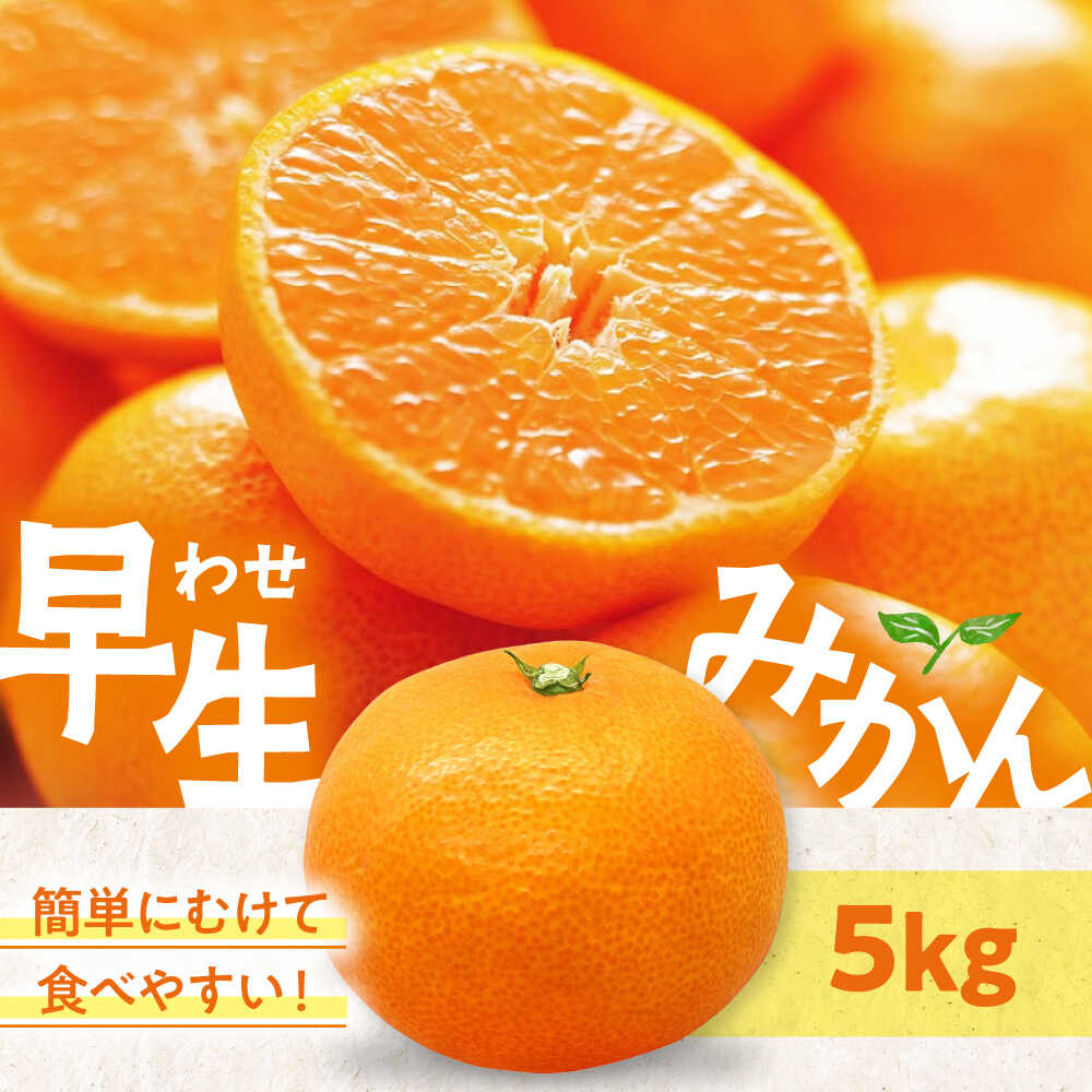 【先行予約】【11月中旬から順次発送】温州みかん（早生） 5kg（S～Lサイズ混合） 大洲市/永沼農園[AGAW016] 先行予約 みかん ミカン 蜜柑 温州ミカン 温州みかん 果物 くだもの フルーツ 愛媛県産 大洲市産 産地直送 おすすめ 人気