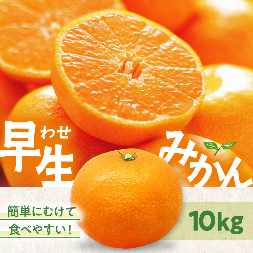 【先行予約】【11月中旬から順次発送】温州みかん（早生） 10kg （S～Lサイズ混合） 大洲市/永沼農園[AGAW017] 先行予約 みかん ミカン 蜜柑 温州ミカン 温州みかん 果物 くだもの フルーツ 愛媛県産 大洲市産 産地直送 おすすめ 人気