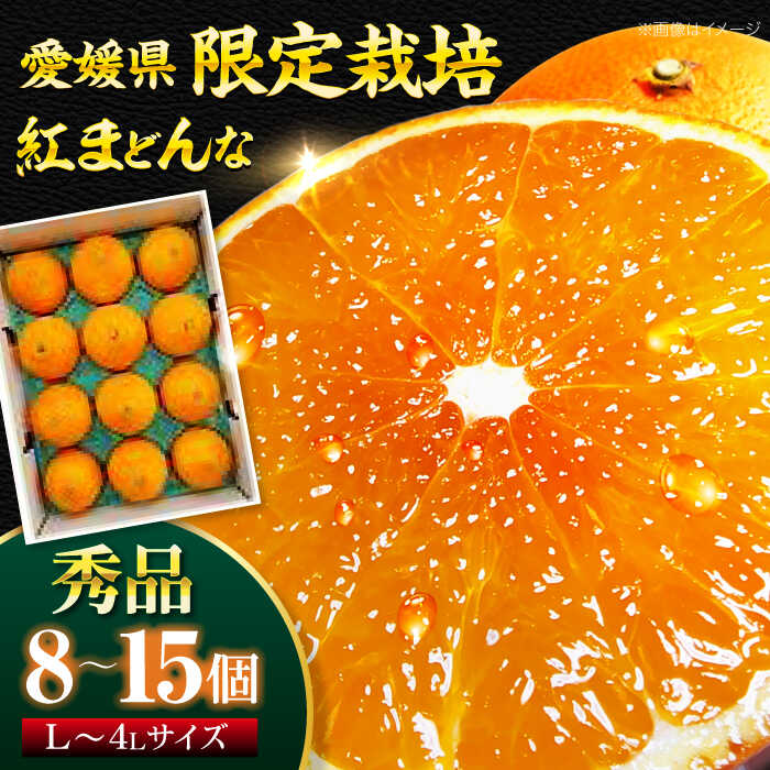紅まどんな 秀品 8個から15個入（JA愛媛たいき管内産）【11月下旬から順次発送】大洲市/フジ・アグリフーズ[AGBA001] みかん ミカン 紅まどんな 果物 くだもの フルーツ 大洲市産 産地直送 おすすめ 人気