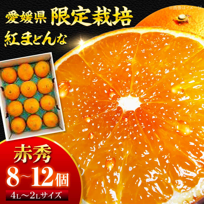 紅まどんな 赤秀 8個から12個入（JA愛媛たいき管内産）【11月下旬から順次発送】 大洲市/フジ・アグリフーズ[AGBA002] みかん ミカン 紅まどんな 果物 くだもの フルーツ 大洲市産 産地直送 おすすめ 人気