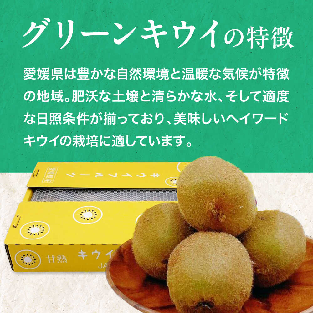 【ふるさと納税】キウイフルーツ【先行予約】【2026年1月中旬から順次発送】グリーンキウイ 24玉〜27玉入 | 人気 おすすめ ランキング おいしい 果物 フルーツ スイーツ デザート 送料無料 お取り寄せ 大洲市/株式会社フジ・アグリフーズ[AGBA009] 20000 20000円 以下 サムネイル3