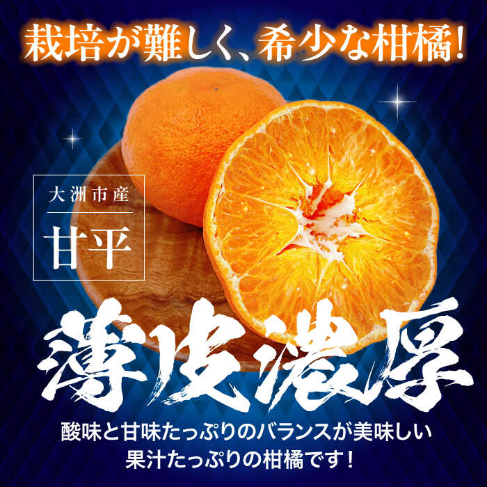 【ふるさと納税】【先行予約】【2月上旬から順次発送】愛媛県産 甘平 と グリーンキウイ のセット | 人気 おすすめ ランキング おいしい 甘い 柑橘 かんぺい 大洲市/株式会社フジ・アグリフーズ[AGBA011] 10000 10000円 以上 サムネイル2