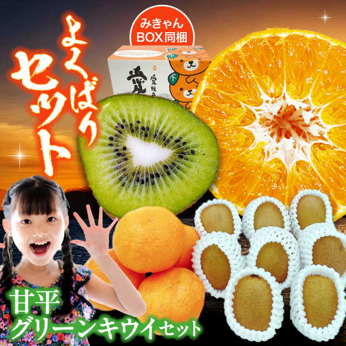 【先行予約】【2月上旬から順次発送】愛媛県産 甘平 と グリーンキウイ のセット | 人気 おすすめ ランキング おいしい 甘い 柑橘 かんぺい 大洲市/株式会社フジ・アグリフーズ[AGBA011] 10000 10000円 以上