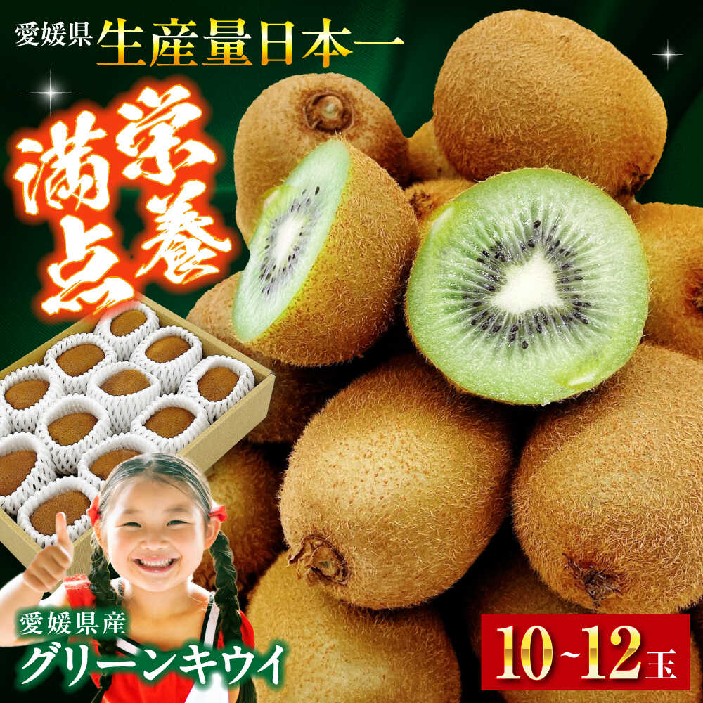 キウイフルーツ【先行予約】【2026年1月中旬から順次発送】愛媛県産 グリーンキウイ 10玉〜12玉入| 人気 おすすめ ランキング おいしい 果物 フルーツ スイーツ デザート 送料無料 お取り寄せ 大洲市/株式会社フジ・アグリフーズ[AGBA016] 10000 10000円