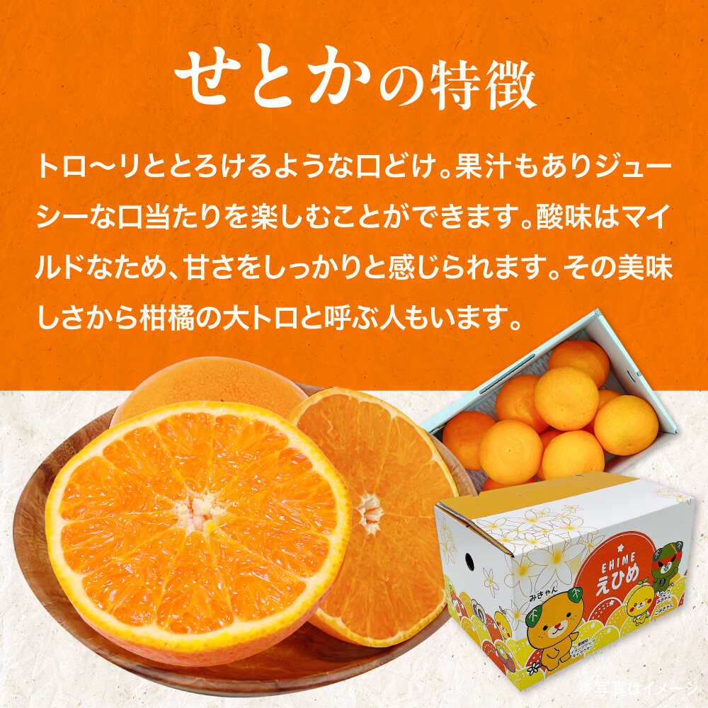 【ふるさと納税】【先行予約】【2026年4月上旬から順次発送】愛媛県産　せとか　2.5kg 愛媛県大洲市/株式会社フジ・アグリフーズ　柑橘 みかん せとか 果物 フルーツ[AGBA019] サムネイル3