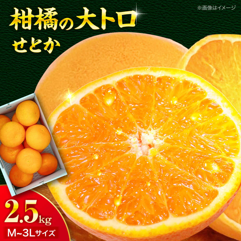 【先行予約】【2026年4月上旬から順次発送】愛媛県産　せとか　2.5kg 愛媛県大洲市/株式会社フジ・アグリフーズ　柑橘 みかん せとか 果物 フルーツ[AGBA019]