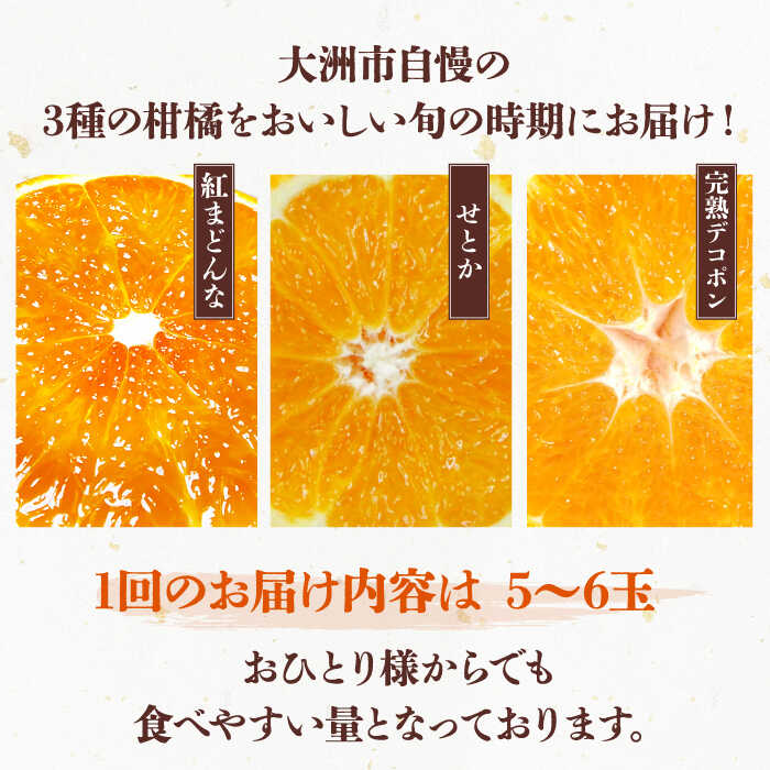 【ふるさと納税】【全3回定期便】 大洲の旬果をお届け！柑橘定期便 大洲市/フジ アグリフーズ[AGBA021] 先行予約 みかん ミカン 紅マドンナ 紅まどんな 果物 くだもの フルーツ 愛媛県産 大洲市産 産地直送 おすすめ 人気 お取り寄せ 送料無料 贈答 ギフト サムネイル2