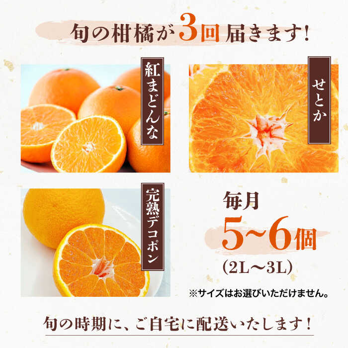 【ふるさと納税】【全3回定期便】 大洲の旬果をお届け！柑橘定期便 大洲市/フジ アグリフーズ[AGBA021] 先行予約 みかん ミカン 紅マドンナ 紅まどんな 果物 くだもの フルーツ 愛媛県産 大洲市産 産地直送 おすすめ 人気 お取り寄せ 送料無料 贈答 ギフト サムネイル3