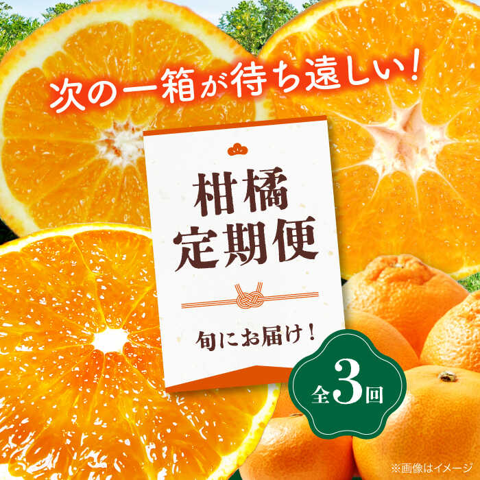 【全3回定期便】 大洲の旬果をお届け！柑橘定期便 大洲市/フジ アグリフーズ[AGBA021] 先行予約 みかん ミカン 紅マドンナ 紅まどんな 果物 くだもの フルーツ 愛媛県産 大洲市産 産地直送 おすすめ 人気 お取り寄せ 送料無料 贈答 ギフト